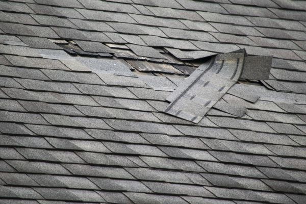 Roof Hole Repair in Sanford