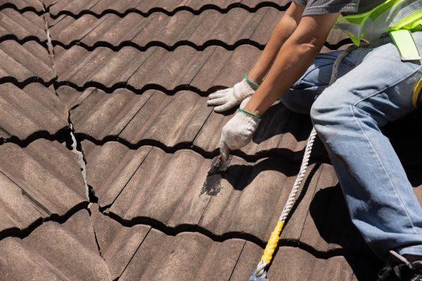Roof Tile Sealing Service