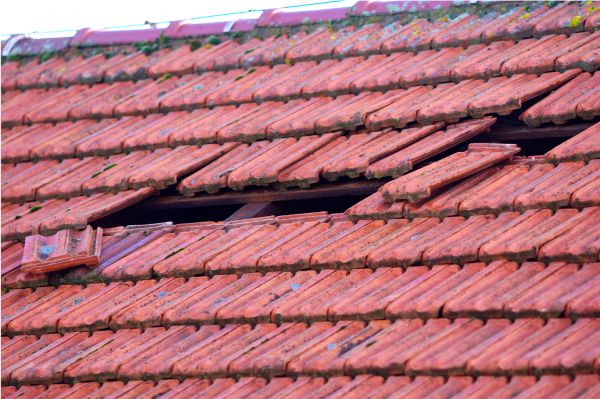Roof Damage Appraisal Service