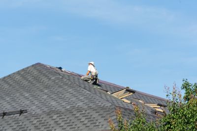 Roof Inspection Scene
