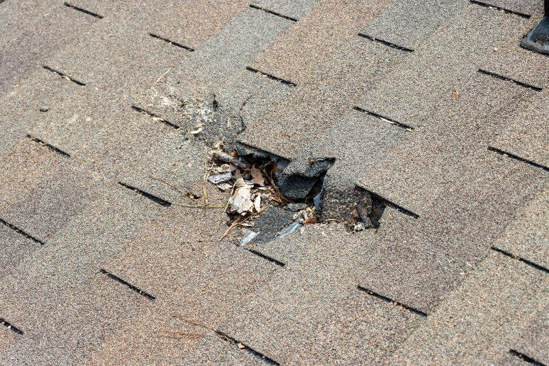 Common Signs You Need Asphalt Shingle Roof Repair